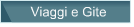 Viaggi e Gite